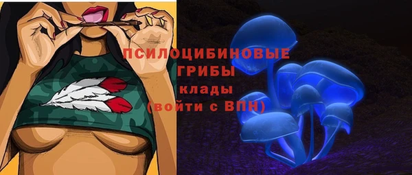 СК Осинники