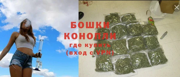 СК Осинники
