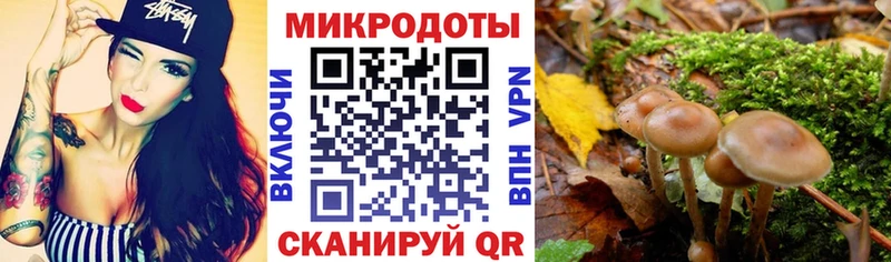 Псилоцибиновые грибы Magic Shrooms  нарко площадка клад  Бабушкин 